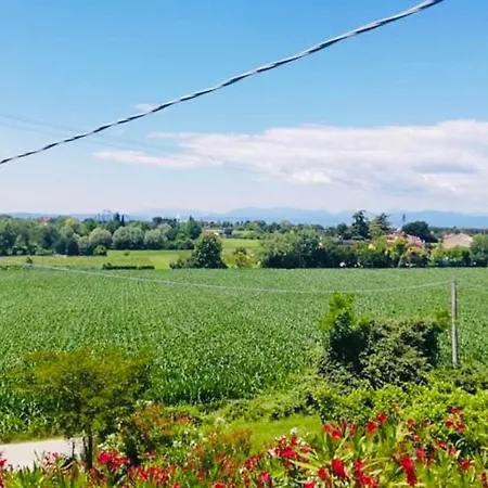 Rosso * לאזיסה